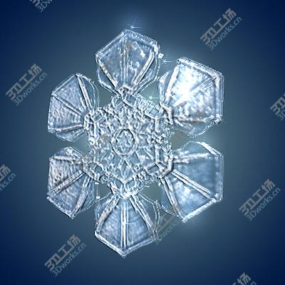 images/goods_img/2021040231/Snow flakes/3.jpg